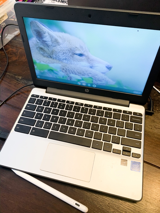 See what I ordered on Amazon in March 2020 including this chromebook and ipad stylist!