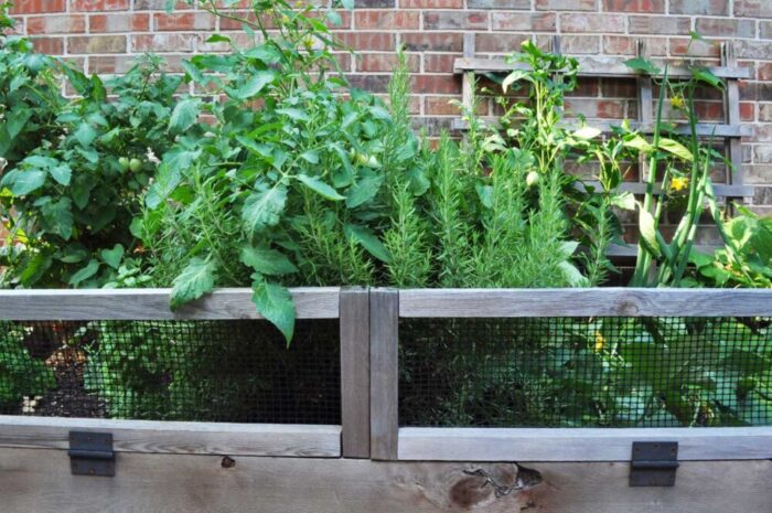 I've joined several other fabulous bloggers to bring your our Summer Spaces Blog Hop! Come check out my backyard including my DIY Raised Vegetable Garden!
